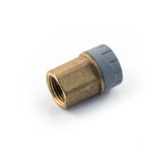 Polyplumb BSP Female Adaptor - 10mm x 1/4" DZR