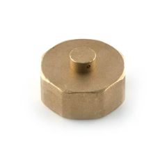 Meter Cap BS 746 - 1" F