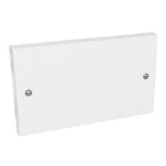 Blank Plastic Plate - 2 Gang