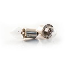 Bulb Suitable for EX 250 & EX 200R - Pack of 2