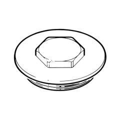 Immersion Heater Plug with Washer - 2.1/4" BSP,  Brass