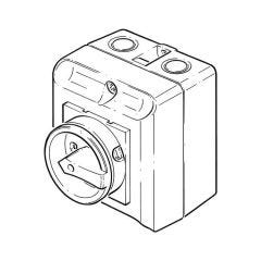 Rotary Enclosed Isolator - 20 Amp