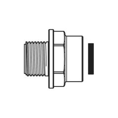 Straight Connector 1/2" BSP F x M - 15mm Thread