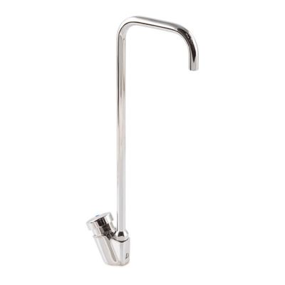 Delabie Swan Neck Tap