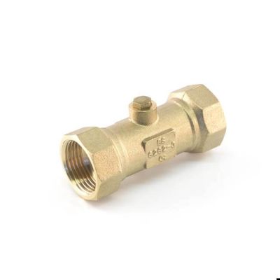 Double Check Valve, Non Return - 1" BSP DZR